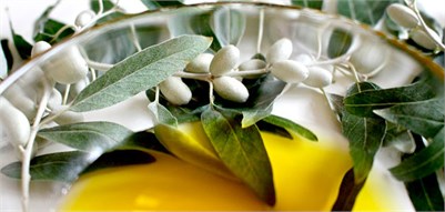 New Report Concludes Olive Oil Needs a Quality Standard to Guarantee Authenticity